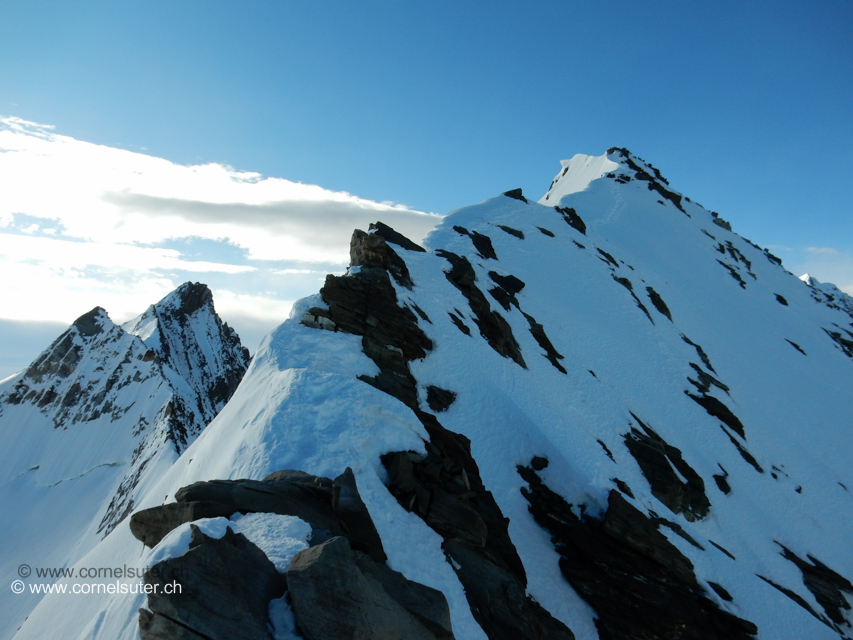 Über den schmalen Grat erreicht man das Hobärghorn 4219m.