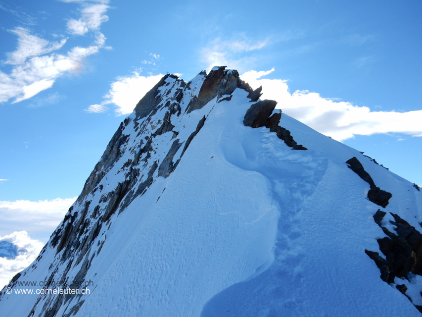 Bereits im Aufstieg zum Stecknadelhorn 4241m 