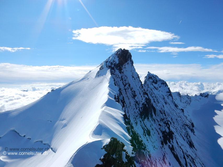 Sicht zum Nadelhorn 4327m der weitere Routen Verlauf. Ab dem Stecknadelhorn 4241m auf dem schön geformten Firngrat hinunter zum Stecknadeljoch 4115m, nun die steile Nordflanke des Nadelhorns queren zum Nordostgrat des Nadelhorns. 