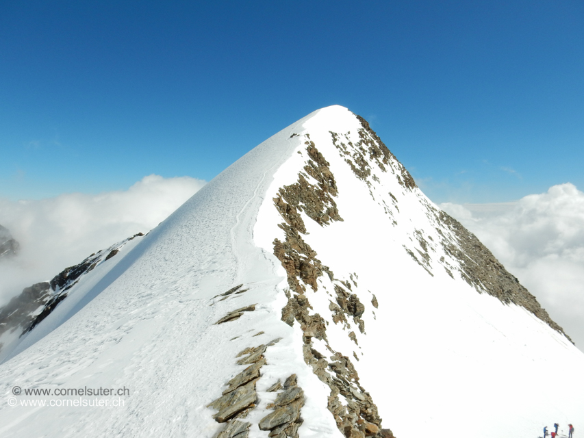 Beim Windjoch 3845m und hinauf zum Ulrichshorn 3925m. 