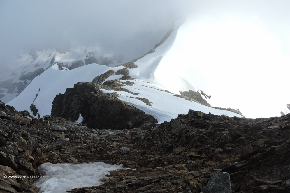 Abstieg vom Mittler Tierberg, bei mehreren Bergsteiger ist hier Steinschlag kaum zu vermeiden, obacht!
