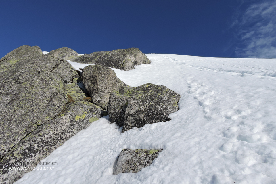 Danach über ein Schneefeld hinauf zum Gipfel.