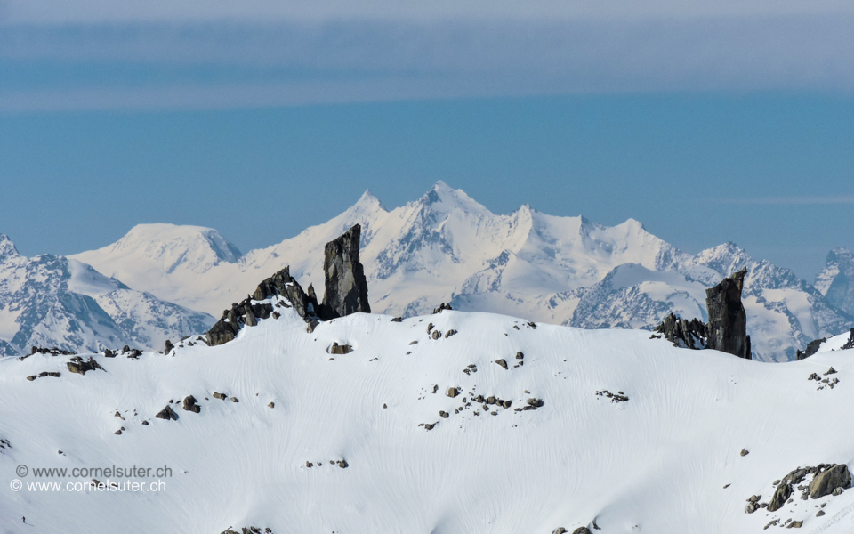 Die Kamele ziehen vorbei, im Hintergrund die gesamte Mischabel, rechts noch ein wenig vom Matterhorn zu sehen.