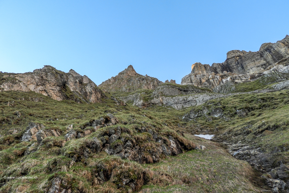 Der Aufstieg zum Chnorren ist T5 schwieriges Alpinwandern. Diesem Grasrücken folgend über leicht felsdurchsetzten Grasplanggen